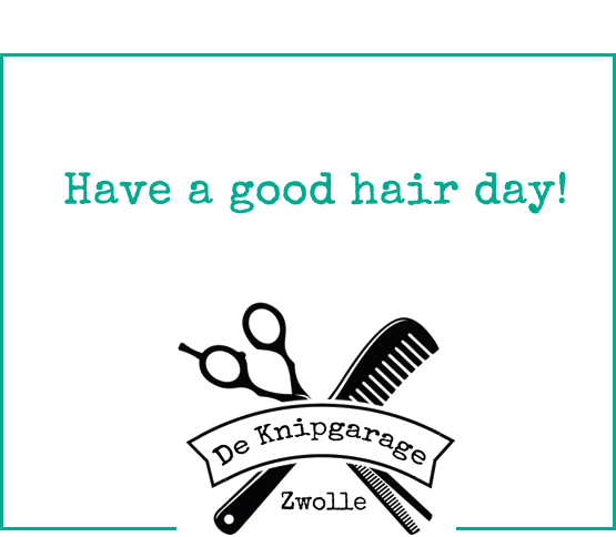 De Knipgarage Zwolle